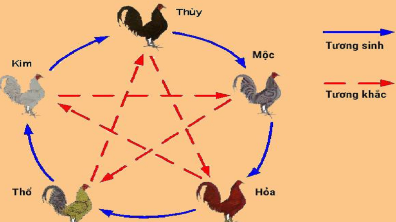 Hôm nay đá gà màu nào mạnh? Cách xem màu mạng gà đá chuẩn cho sư kê Hôm nay đá gà màu nào mạnh? Cách xem màu mạng gà đá chuẩn cho sư kê